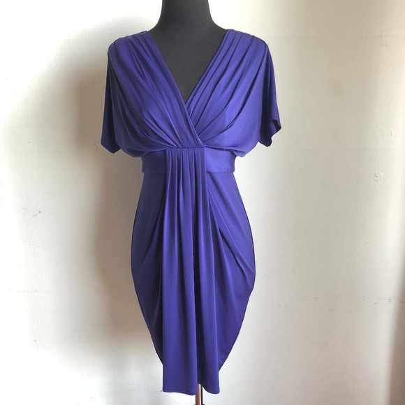 Maggy London Dresses & Skirts - Maggy London sz 2P sheath dress